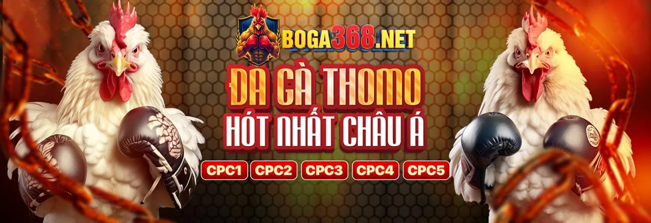 Hình ảnh chính về cá cược thể thao trên pg99 App